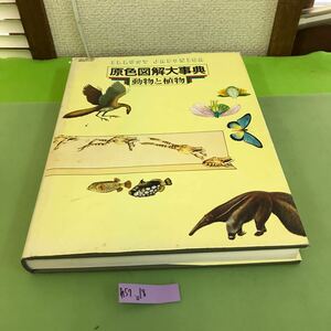 あ57-018 国際版 原色図鑑大事典 2 動物と植物 小学館/汚れ、細かい破れあり