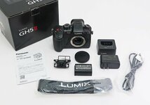 ◇美品【Panasonic パナソニック】DC-GH5M2 ボディ ミラーレス一眼カメラ_画像9