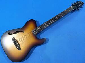 schecter シェクター エレアコ OL-FL 美品