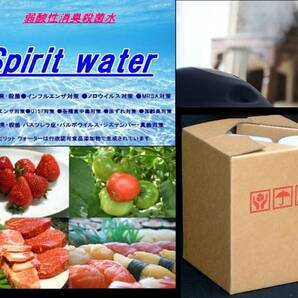 ●送料無料 弱酸性次亜塩素酸水 400ppm 4L ノロウイルス インフルエンザ コロナウイルス予防に