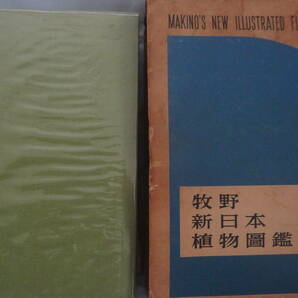 （送料無料）牧野新日本植物図鑑 北隆館 牧野富太郎 の画像1