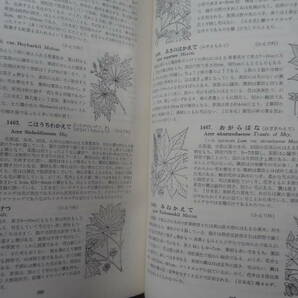 （送料無料）牧野新日本植物図鑑 北隆館 牧野富太郎 の画像7