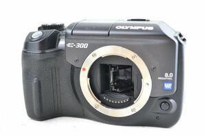 ★実用美品★OLYMPUS オリンパス E-300 ボディ シャッター回数2002★♯13295