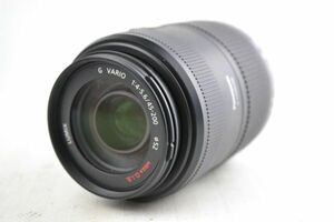 ★実用美品★Panasonic パナソニック LUMIX G VARIO 45-200mm F4-5.6 MEGA O.I.S H-FS045200★♯13339