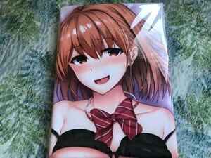 Z　正規品 アクアプレミア 　どきどき堂　satosi　あいり　抱き枕カバー　美少女推進委員会