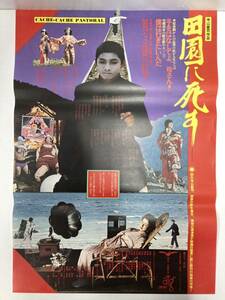 「田園に死す」B2判 映画ポスター 寺山修司 当時物 （管理番号p-113）