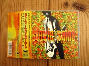 Stevie Salas Colorcode / スティーヴィーサラス / The Sometimes Almost Never Was [Canyon International / PCCY-01280] 帯付