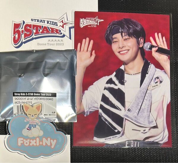 アイエン スキズ ライブフォトトレカ 5STAR ドムツ 新品 straykids SKZOOランダムネームバッチ