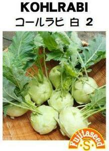 ＜野菜の種＞コールラビ　白　約200粒　1ｍｌ　グリーン　４種郵便にて発送