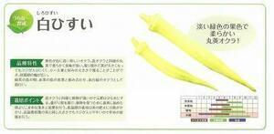 ＜野菜の種＞２０粒　白ひすい　丸莢おくら　白に近い淡いグリーンオクラ　沖縄野菜　４種郵便にて発送