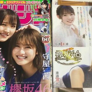 欅坂メンバー 雑誌切り抜き90ページ＋ポスター2枚