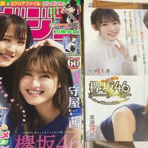 欅坂メンバー 雑誌切り抜き90ページ+ポスター2枚