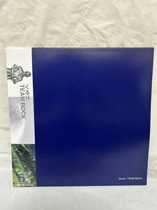 ◎S370◎LP レコード 美盤 Quruli くるり/TEAM ROCK チーム・ロック/名作 2001年 ばらの花 ワンダーフォーゲル 収録 Supercar/2枚組