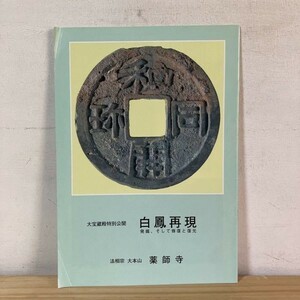 ハヲ○0122t[白鳳再現 発掘そして修復と復元] 大宝蔵殿特別公開