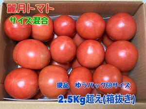 農家直送！麗月　大分県産トマト(サイズ混合)☆2.5Kg☆ ゆうパック60サイズ
