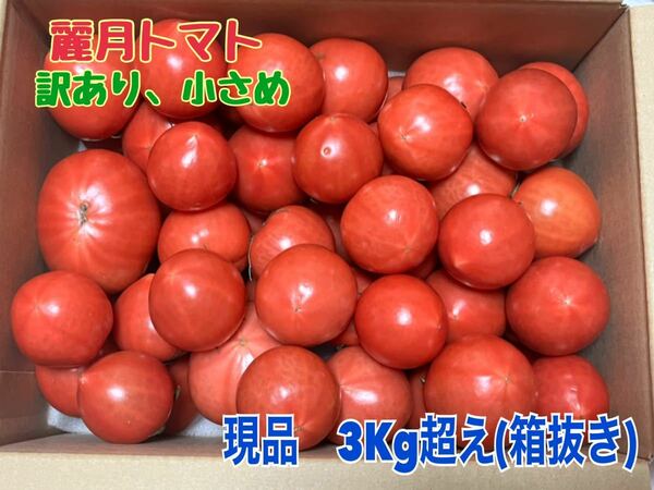 農家直送！！麗月　大分県産トマト(サイズ混合)☆3Kg☆ 訳あり　数量限定！21