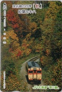 最終価格！　JR北海道　深名線の四季　秋　紅葉とキハ　オレンジカード