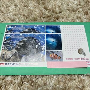 新江ノ島水族館 入場券 ご招待券 2枚セット ペア 招待券 有効期限 2024年3月31日迄 えのすい 江の島水族館