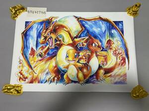 約50cm×75cm ヒトカゲ リザード リザードン Pokemon ポスター ポケモン ポケットモンスター