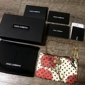 ドルチェアンドガッバーナ　DOLCE&GABBANAパスケース　カード入れ　カーネーション