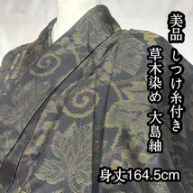 ●きもの翠● 美品 しつけ糸付き 草木染め お洒落 大島紬 葉っぱ 和装 和服 着物 正絹 身丈164.5cm #Y715_画像1