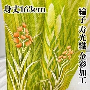 ●きもの翠● 付下げ訪問着 綸子 寿光織 金彩加工 ぼかし チューリップ 猫じゃらし 綿 草花 身丈163cm 正絹 和装 和服 着物 #Y847