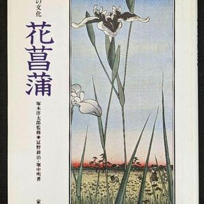 花菖蒲　花と木の文化