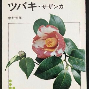ツバキ・サザンカ （ＮＨＫ趣味の園芸作業１２か月　１）