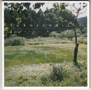 【CD】水谷聖 - Yokosawa-iri (12 Pieces Of Mixed Soundscape)【初期メルツバウ/フィールド録音】