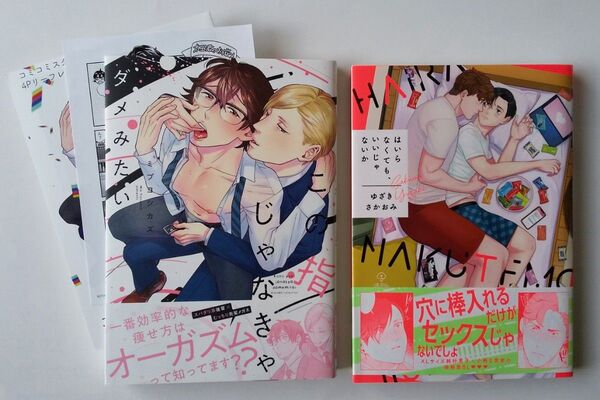 2冊セット ミブヨシカズ この指じゃなきゃダメみたい リーフレット、ペーパー付&ゆざきさかおみ はいらなくても、いいじゃないか