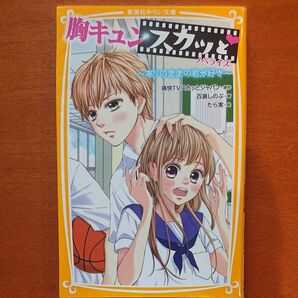 胸キュンスカッと ノベライズ ありのままの君が好き 痛快TVスカッとジャパン/原作 百瀬しのぶ/著 たら実/絵