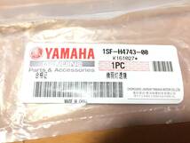 【新品】ヤマハ純正 YB125SP テールランプ 1SF-H4721-00 1SF-H4743-00　/検索用 天俊テールレンズ 　_画像6