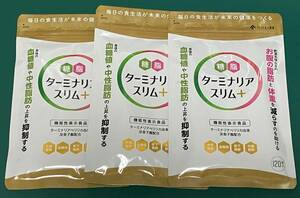 【送料無料】ターミナリアスリムプラス　120粒　3袋セット