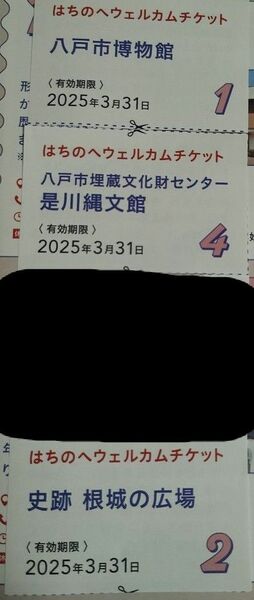 八戸市民券　資料館　博物館　引換券　3枚セット　