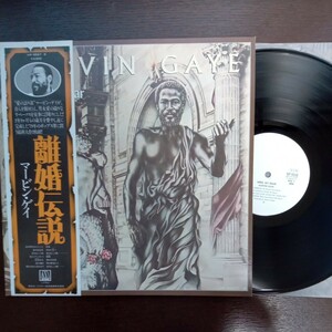 promo sample 見本盤 marvine gaye here my dear マーヴィン・ゲイ 離婚伝説 analog record vinyl レコード アナログ lp 