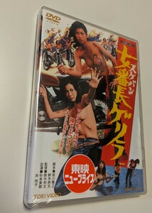 MR 匿名配送 DVD 女番長ゲリラ 東映ビデオ 4988101163700