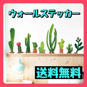 不二玩家 葉 サボテン ウォールステッカー 植物 模様替え　ウォールペーパー 装飾　壁紙　即日配送　送料無料