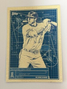 2024 TOPPS SERIES1 BASEBALL 大谷翔平 SUPERSTAR BLUE PRINT