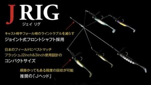 廃番 2個SET　J RIG★Jリグ★フィッシュアロー★Fish Arrow★魚矢★アラバマリグ★アンブレラリグ★バマスト★フラッシュJ★ジェイリグ