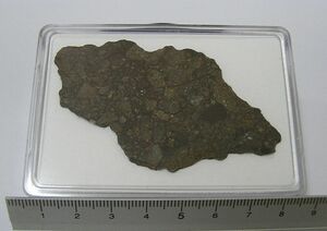 月隕石(NWA8455： Lunar Feldspathic Breccia)送料込