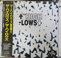 HIGH-LOWS LP レコード ハイロウズ blue hearts ブルーハーツ クロマニヨンズ punk rock sex pistols ramones swankys laughin nose clash_画像8