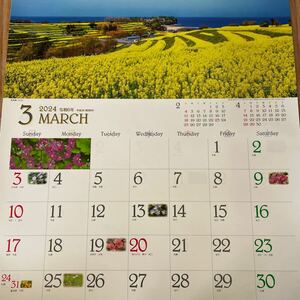 四季彩花　景色　花　カレンダー ２０２４年３〜　壁掛けカレンダー 書き込みタイプ