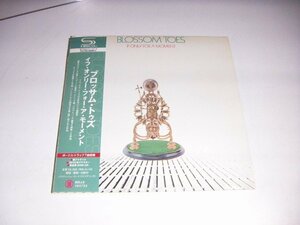 紙ジャケSHM-CD：イフ・オンリー・フォー・ア・モーメント ブロッサム・トウズ IF ONLY FOR A MOMENT Blossom Toes：帯付