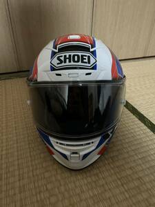 SHOEI X14 ASSAIL