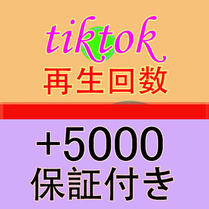 【おまけ Tiktok 再生回数 5000 ティックトック 動画 再生数 】YouTube Tiktok 自動増加ツール インスタ フォロワー チャンネル登録者数 