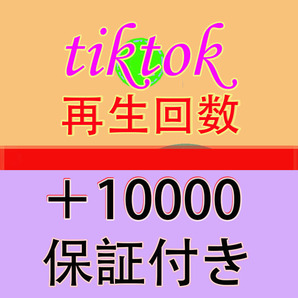 【おまけ Tiktok 再生回数 10000 ティックトック 動画 1万 再生数 】YouTube Tiktok 増加ツール インスタ フォロワー チャンネル登録者数の画像1