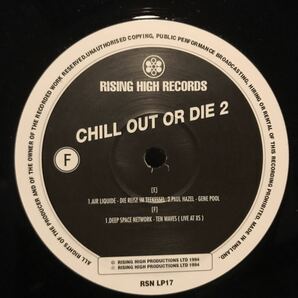 [ Various - Chill Out Or Die II - Rising High Records RSN LP 17 ] Bedouin Ascent , The Irresistible Force , Wagon Christの画像8