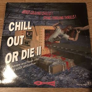 [ Various - Chill Out Or Die II - Rising High Records RSN LP 17 ] Bedouin Ascent , The Irresistible Force , Wagon Christの画像1