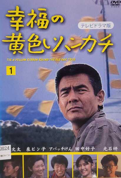 中古DVD　幸福の黄色いハンカチ　　2枚組　　テレビドラマ版