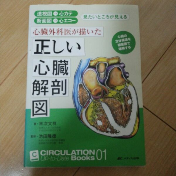 心臓外科医が描いた正しい心臓解剖図 透視図→心カテ 断面図→心エコー 見たいところが見える